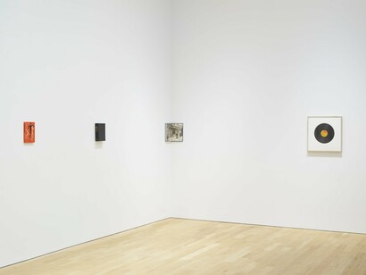Steve Wolfe, The Brutality of Fact, exhibition view. Courtesy of Luhring Augustine Gallery