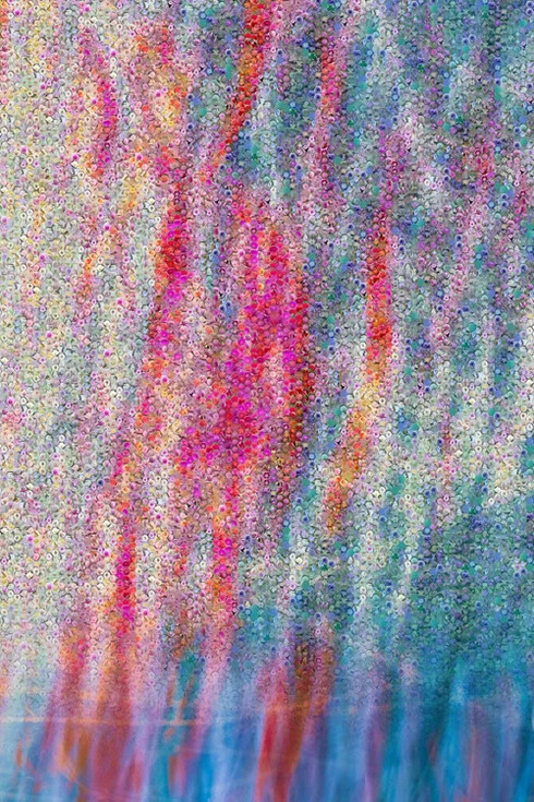 Charles Turnell, Prairie (6) (detail), 2025. Courtesy of Bruno David Gallery