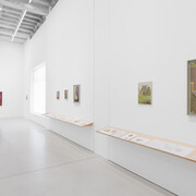 Diana Cepleanu, exhibition view. Courtesy of Galeria Plan B 