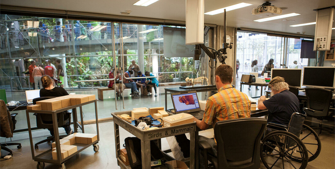 Project Lab. Courtesy of California Academy of Sciences