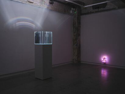 Trevor Yeung, Swallowing rumination, gracefully, exhibition view. Courtesy of Blindspot Gallery