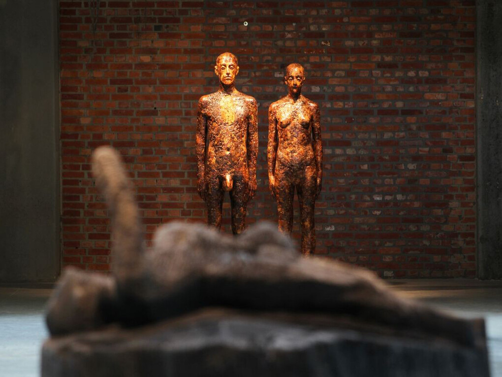 Aron Demetz. Memoridermata