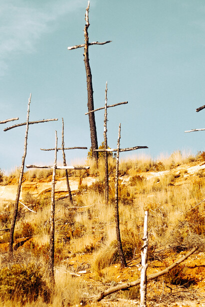 Como estrellas en un cielo amenazador 