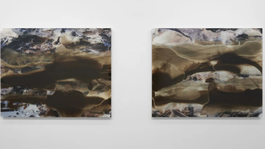 Arin Dwihartanto Sunaryo. Courtesy of Simon Lee Gallery