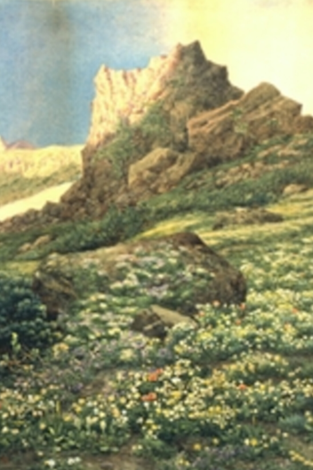 Maruyama Banka,  "Title Unknown (Mountains in Summer) " (detail),  n.d., donated by KOJIMA Yutaka (former collection of KOJIMA Usui). Courtesy of Yokohama Museum 