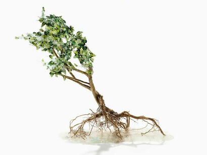 Annalù. Courtesy of Punto Sull'arte