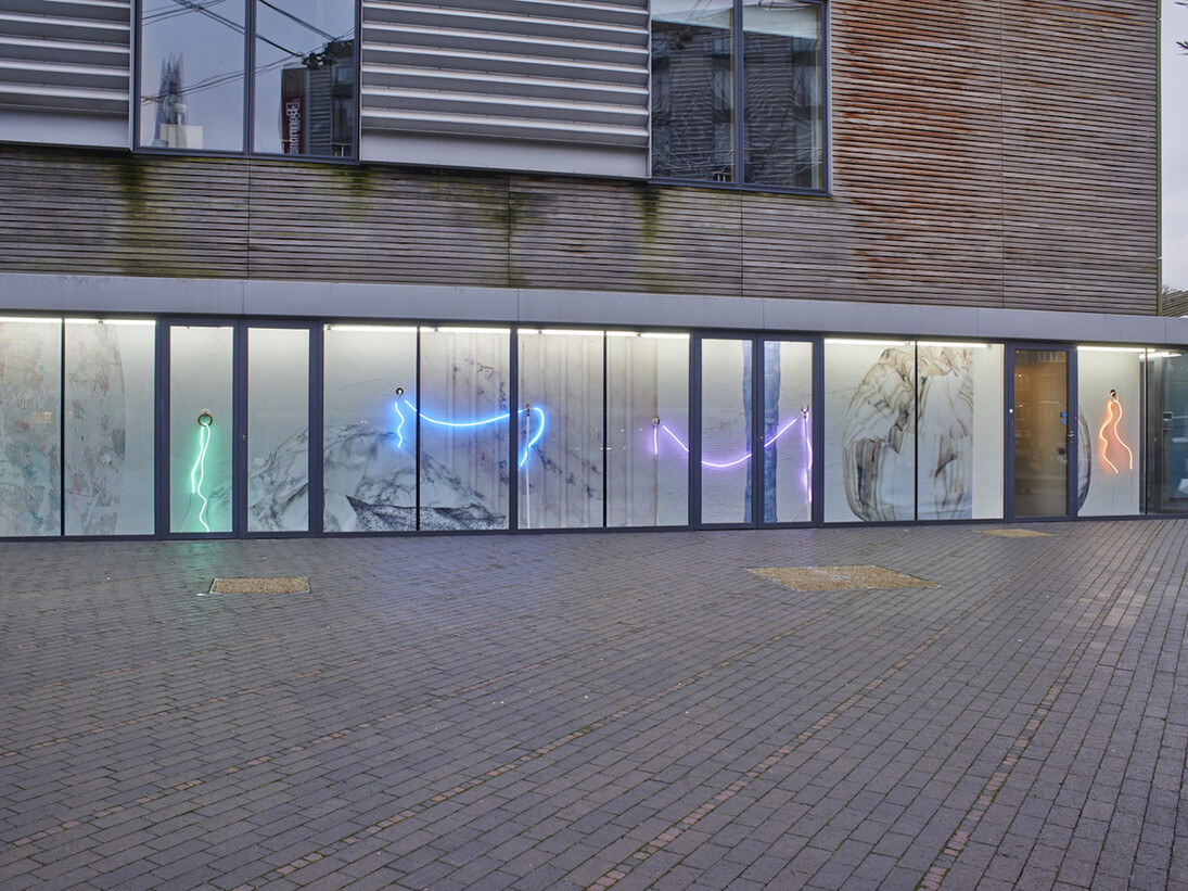 Clare Kenny, Enough rope to hang ‘emselves, 2016. Installation view. Image courtesy of VITRINE. Photographer: Jonathan Bassett.