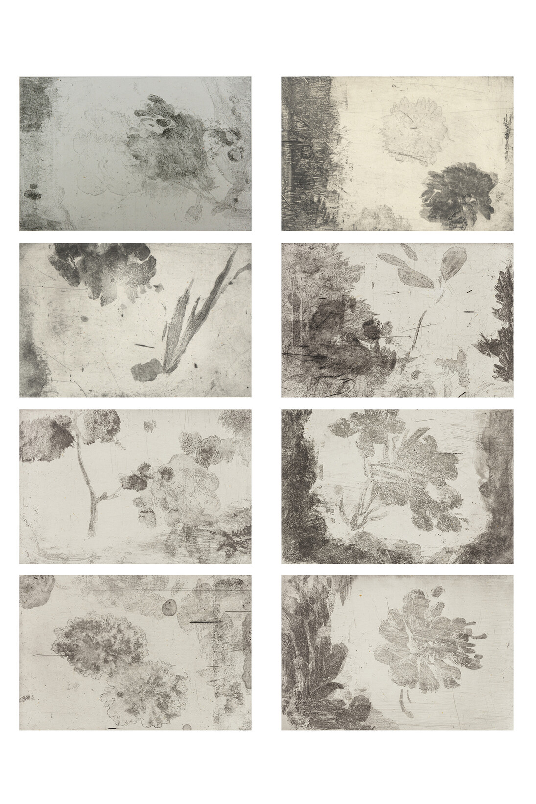 Yan Shanchun 嚴善錞 (b. 1957), Lakeside Flowers 湖边的花, 2013, Copper plate etching, Set of 8, Each image 5 1/4 x 7 3/4 in (sheet 13 3/4 x 18 3/4 in), 13 x 20 cm (35 x 48 cm), Edition of 30