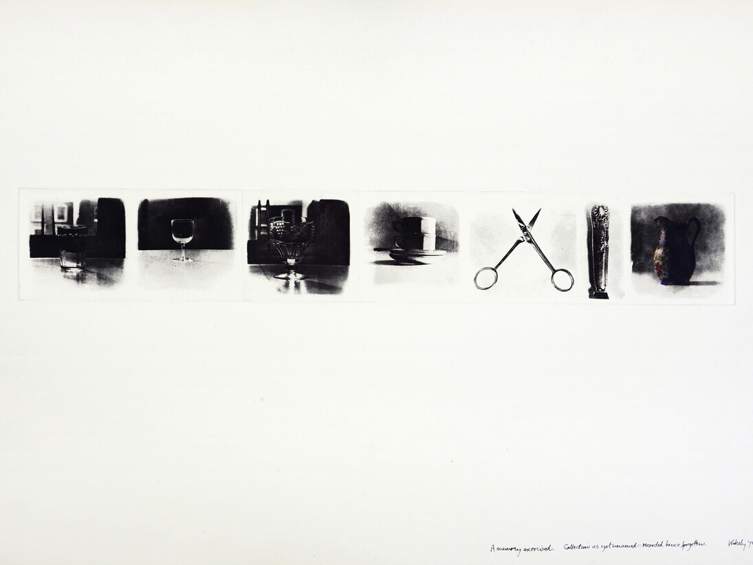 Shelagh  Wakely, A
memory
exercised.
Collection
as
yet
unnamed:
recorded
hence
forgotten,
1978, Etching, 10.9
x
66
cm
image.
56.4
x
76
cm
sheet © Shelagh Wakely. Courtesy Richard
Saltoun Gallery and Shapero Modern