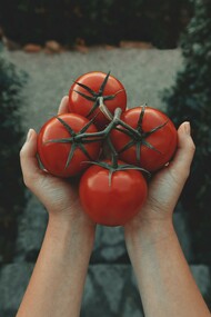 Oggi si fa la salsa