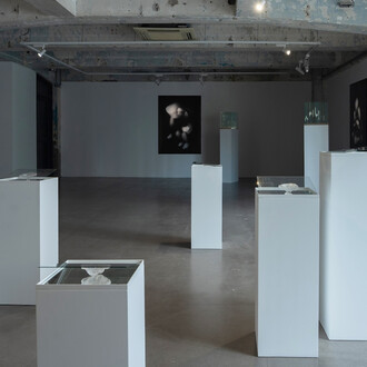 Isaac Chong Wai, Carefully, exhibition view. Courtesy of Blindspot Gallery
