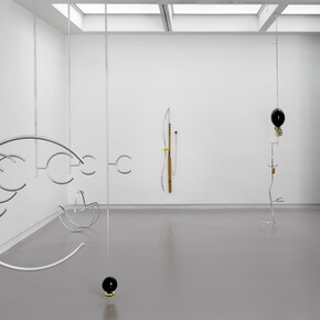 Sarah Pichlkostner, Moss finger liquid soil dripping seeds prodding eye, exhibition view. Courtesy of Annet Gelink Gallery
