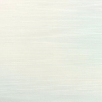 Steven MacIver. Courtesy of Dillon + Lee