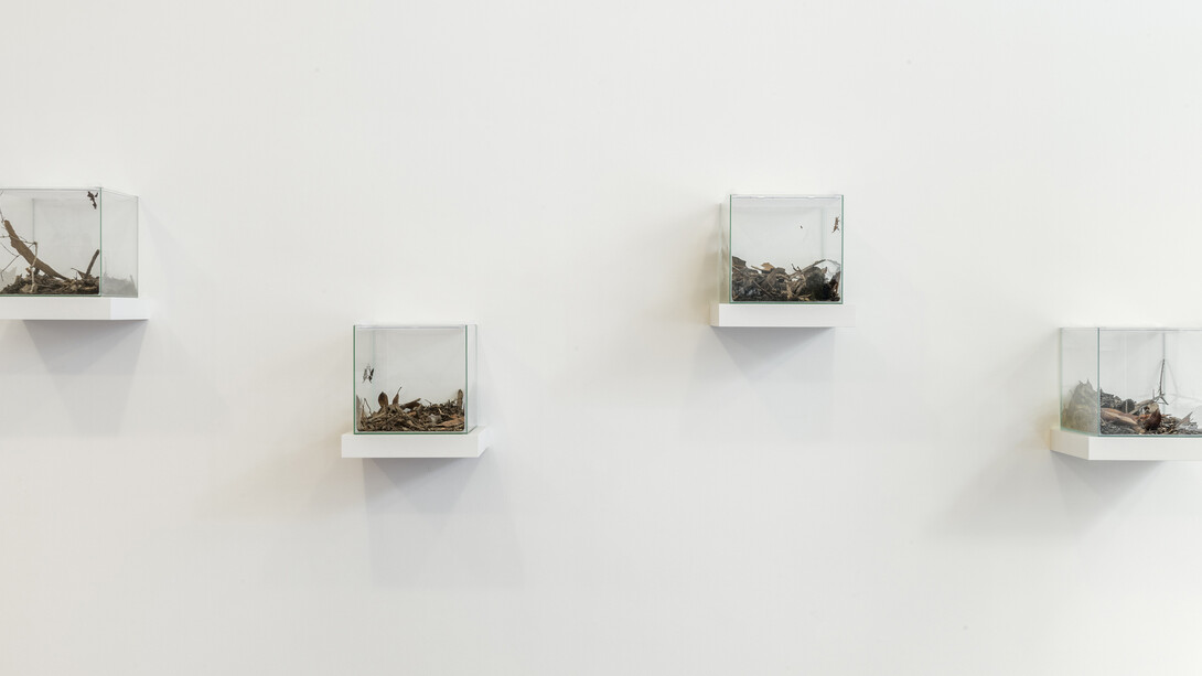 Coquelicots, Exhibition view. Courtesy of MFC - Michèle Didier