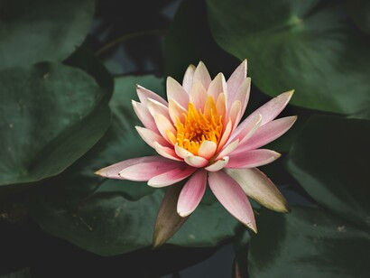 Lo yoga è un portale per esplorare la nostra esistenza