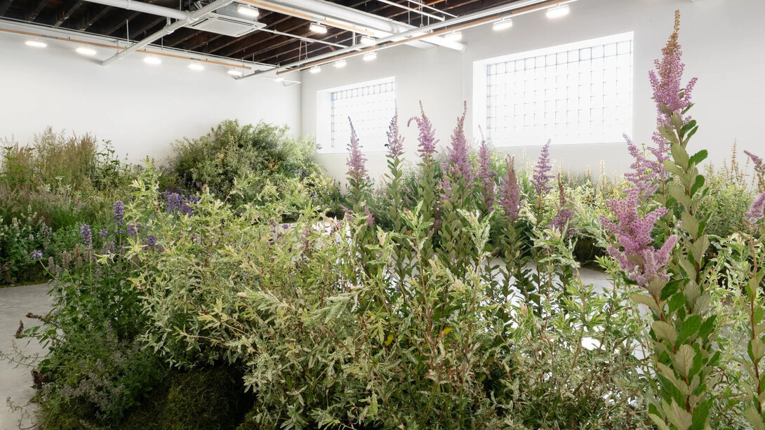 Nicole Rossi, Desire path, exhibition view. Courtesy of Carvalho