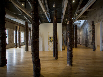 Allison Janae Hamilton. Courtesy of MASS MoCA