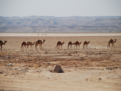Desert Highway, foto Anna Lauvergnac