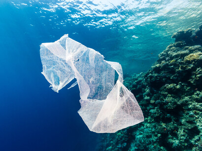 The future of the ocean is at stake