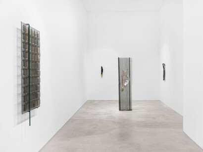 Belén Uriel, Wandering moths, exhibition view. Courtesy of Galeria Madragoa