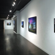 Stephen Fox, Night moves, exhibition view. Courtesy of Arcadia Contemporary