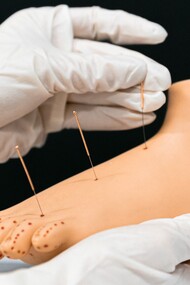 Uma pessoa segurando um modelo de acupuntura nos pés