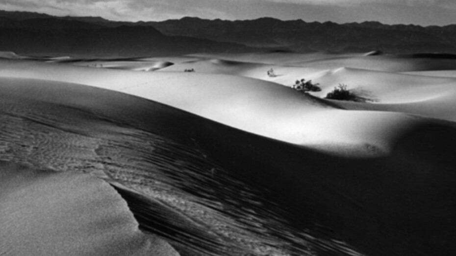 Abstractions, A-Z. Courtesy of Scott Nichols Gallery