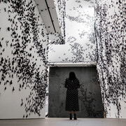 Carlos Amorales. Courtesy of Phoenix Art Museum