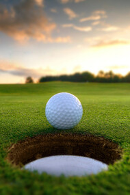 Le regole del golf