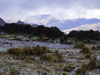 Lares Mapi