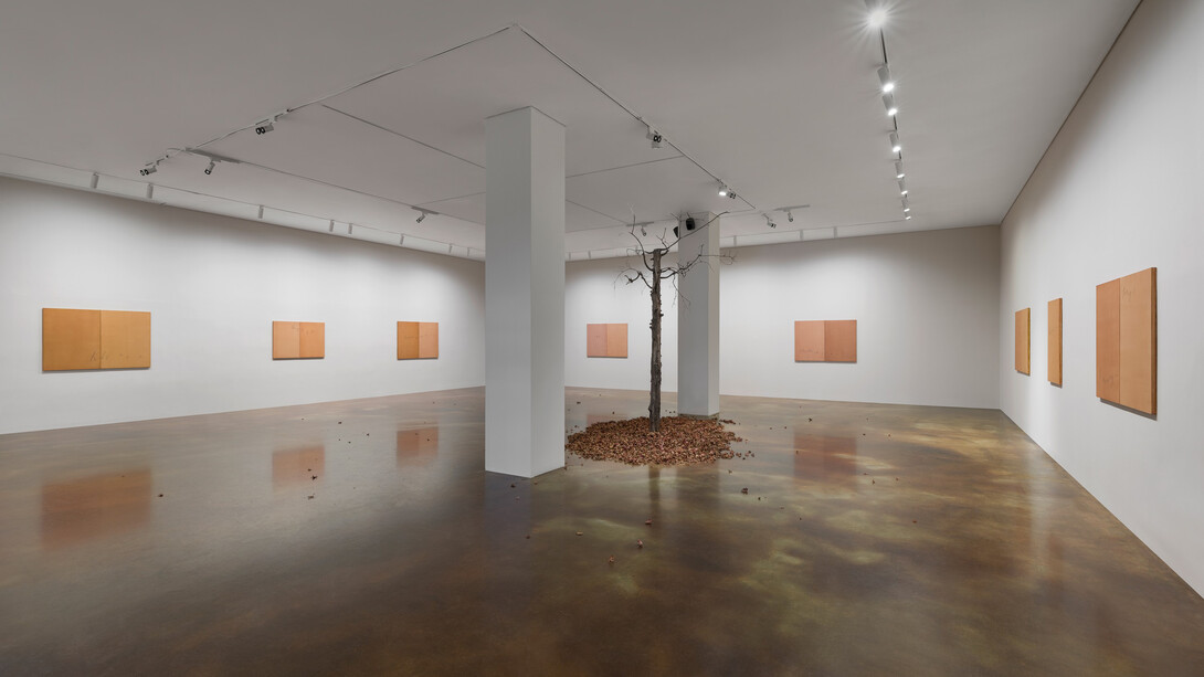 Nature rules, exhibition view. Courtesy of Kukje Gallery 