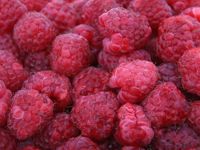 Dieta crudivegana