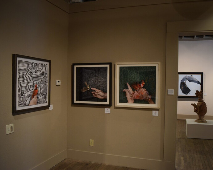 Texas Aviary. Courtesy of  William Reaves | Sarah Foltz Fine Art