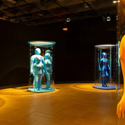 Crowds, humans in interaction, exhibition view. Courtesy of Musée de la civilisation