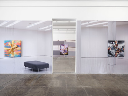 Eliza Douglas, Guggenheim, exhibition view. Courtesy of Overduin & Co. Gallery