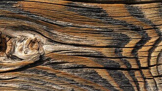 Il tronco di un albero, dopo infinite trasformazioni, poteva ultimare la sua esistenza anche dopo centinaia di anni di utilizzo, alimentando il fuoco necessario a cuocere una zuppa, per nutrire essere umani venuti al mondo molte generazioni dopo l’uomo che aveva tagliato l’albero per ricavarne il tronco