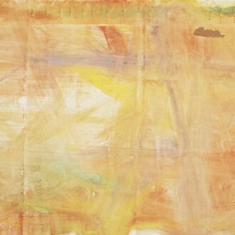 Reena Spaulings, Later Seascapes 3, 2014, Farrow & Ball “estate emulsions” on canvas, 279 x 444 cm / 110 x 175 inches, Courtesy of Campoli Presti, London / Paris 