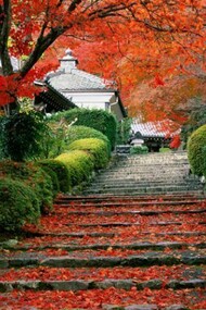 Stairs painted in all the colors. Kyoto