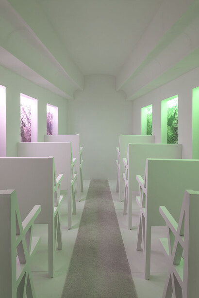 Brett Williams, Untitled (14), 12x8x8 (interior view I)