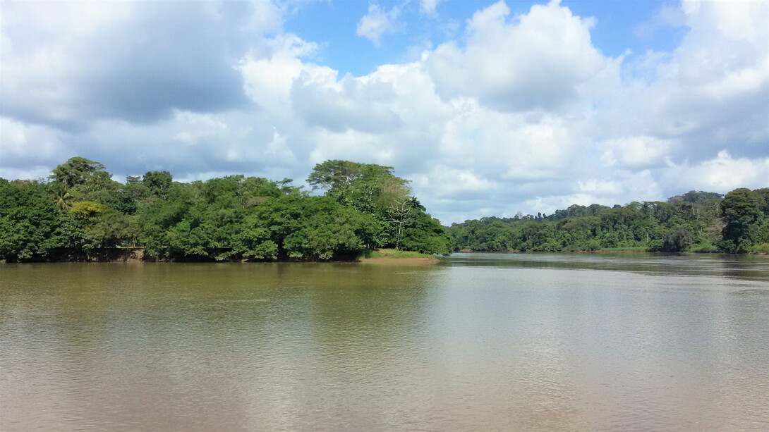 La esquina de La Trinidad, con el río Sarapiquí en primer plano y el San Juan al fondo. Foto: Luko Hilje