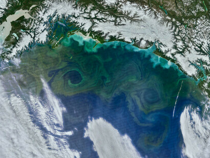 Floração de fitoplâncton no Golfo do Alasca (NASA)