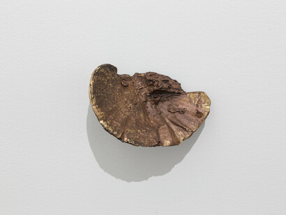 The collection of Mr. X. Courtesy of Alberta Pane Gallery