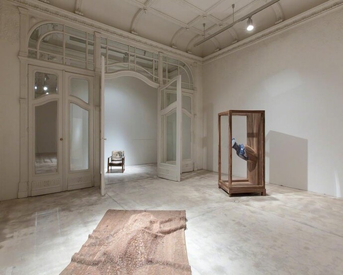 Sudarshan Shetty. Courtesy of Galerie Krinzinger