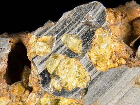 Mineral Hall. Courtesy of Royal Belgian Institute of Natural Sciences