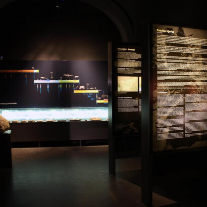 From a bone needle to Celje stars. Courtesy of Pokrajinski muzej Celje