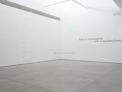 Douglas Gordon, Magic is sometimes very close to nothing at all, exhibition view. Courtesy of Gagosian Gallery