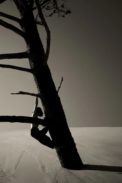 Paul Cupido, Kachō fūgetsu 花鳥風月 flower, bird, wind, moon. Courtesy of The Photographers Gallery 