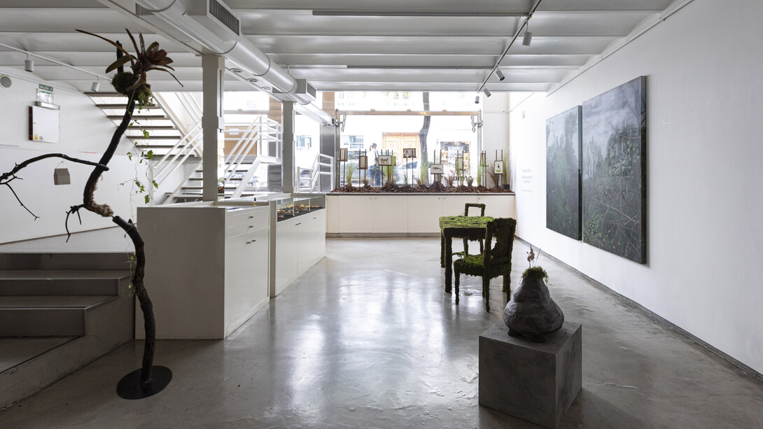 Romina Orazi, Visiones ancestrales sobre el futuro, vista de exhibición. Cortesía de Praxis