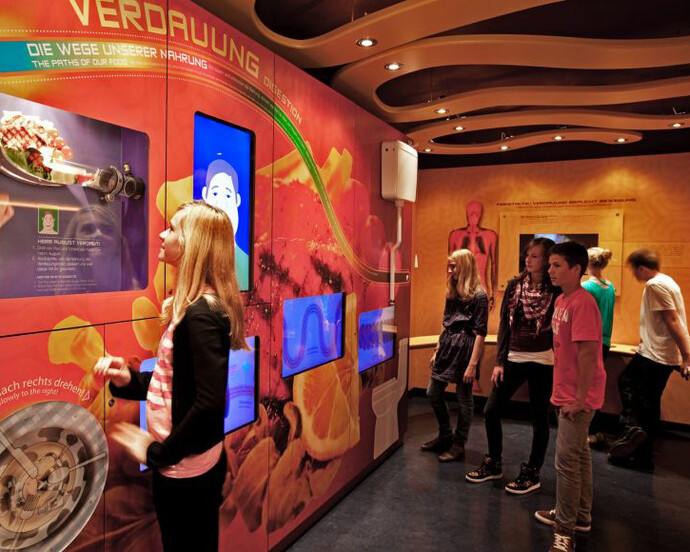 Journey into the Human Body. Courtesy of Haus der Natur 