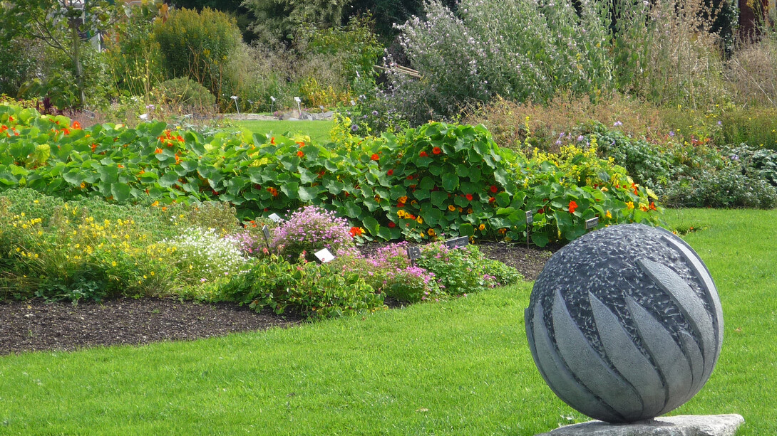 Scopo dei giardni di Glasnevin è instillare il rispetto per la natura e lo sviluppo della cultura botanica. Foto di Enzo Valenti